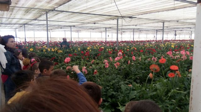 La primera actividad del proyecto Cehegín y su entorno acerca la agricultura a los alumnos de 1° de Primaria del municipio - 1, Foto 1