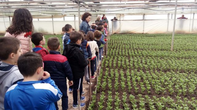 La primera actividad del proyecto Cehegín y su entorno acerca la agricultura a los alumnos de 1° de Primaria del municipio - 2, Foto 2