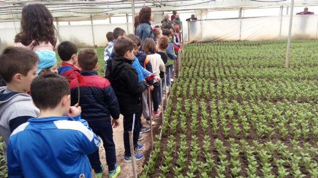 La primera actividad del proyecto Cehegín y su entorno acerca la agricultura a los alumnos de 1° de Primaria del municipio - 3, Foto 3
