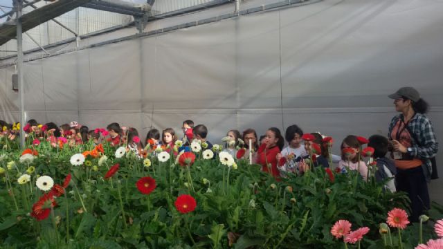 La primera actividad del proyecto Cehegín y su entorno acerca la agricultura a los alumnos de 1° de Primaria del municipio - 5, Foto 5