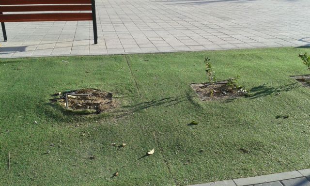 El PSOE vuelve a exigir el arreglo de las numerosas chapuzas que aparecieron en Alfonso X tras las obras - 1, Foto 1