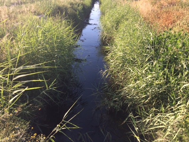 El PSOE de Lorca denuncia que el Ayuntamiento consiente vertidos de aguas residuales al Río Guadalentín mientras invierte en su descontaminación, Foto 2