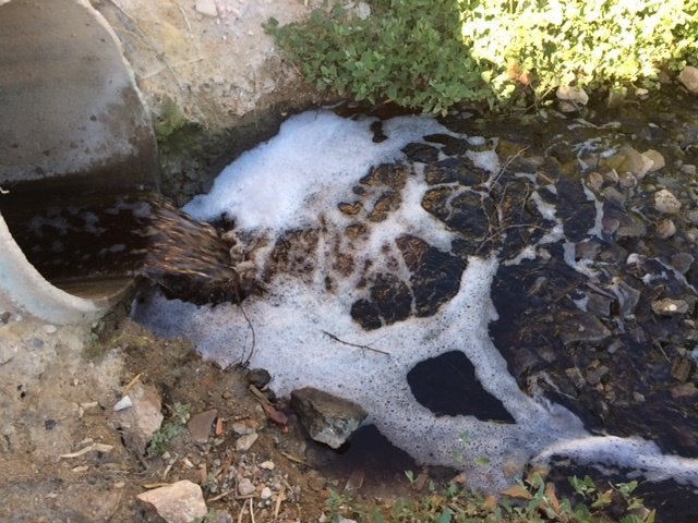 El PSOE de Lorca denuncia que el Ayuntamiento consiente vertidos de aguas residuales al Río Guadalentín mientras invierte en su descontaminación - 3, Foto 3