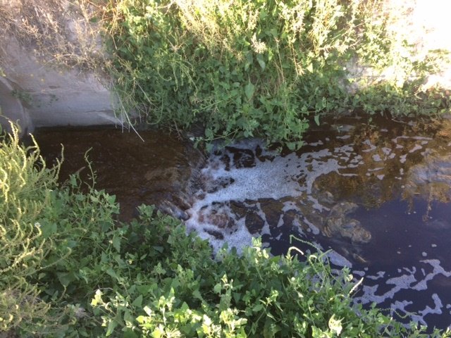 El PSOE de Lorca denuncia que el Ayuntamiento consiente vertidos de aguas residuales al Río Guadalentín mientras invierte en su descontaminación, Foto 4