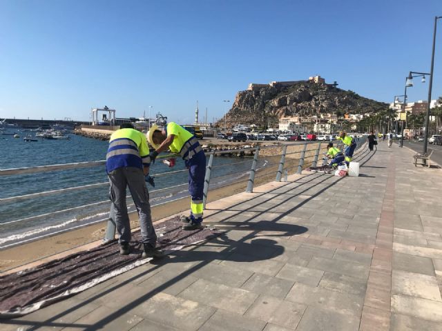 Comienzan los trabajos de mantenimiento de la balaustrada del Paseo Parra - 1, Foto 1