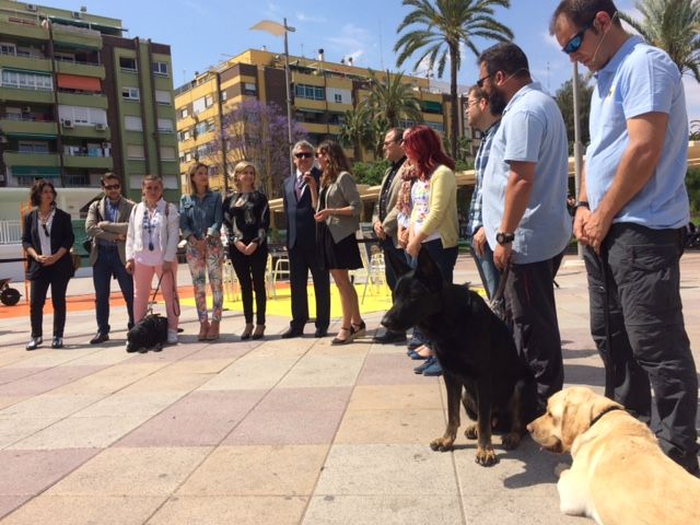 La Plaza de España de Molina de Segura acoge una exhibición de perros guía de la ONCE para mostrar cómo dan seguridad y movilidad a las personas ciegas - 2, Foto 2