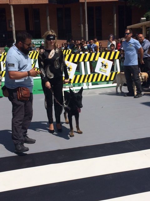 La Plaza de España de Molina de Segura acoge una exhibición de perros guía de la ONCE para mostrar cómo dan seguridad y movilidad a las personas ciegas - 3, Foto 3