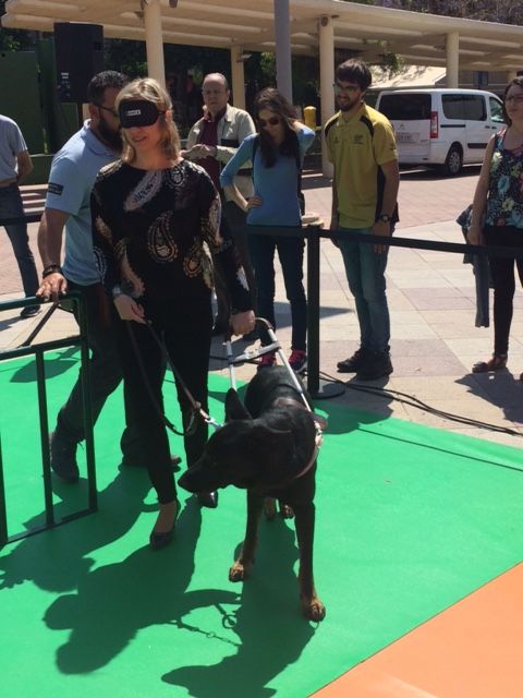 La Plaza de España de Molina de Segura acoge una exhibición de perros guía de la ONCE para mostrar cómo dan seguridad y movilidad a las personas ciegas - 4, Foto 4
