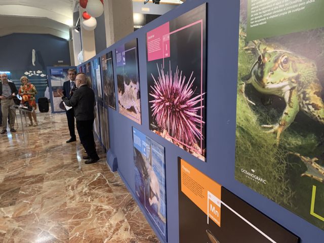 Una exposición permite conocer la relación entre la tabla periódica y los animales del  Oceanogràfic de Valencia - 2, Foto 2