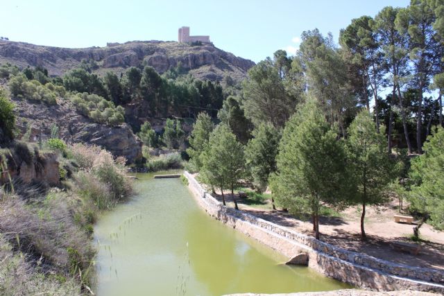 Finalizan las obras de acondicionamiento del humedal del Charco del Zorro - 2, Foto 2