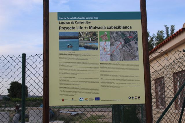 Centro de Información y Acogida de Visitantes de las Lagunas de Campotejar: Renovarse o morir, según Democracia Plural - 2, Foto 2