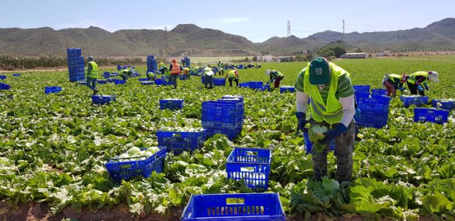 Murcia y Almería se unen para defender los trasvases y los valores de la horticultura del Sureste Español - 3, Foto 3