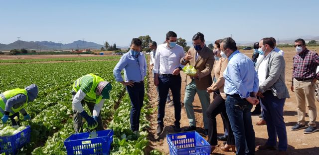 Murcia y Almería se unen para defender los trasvases y los valores de la horticultura del Sureste Español - 5, Foto 5