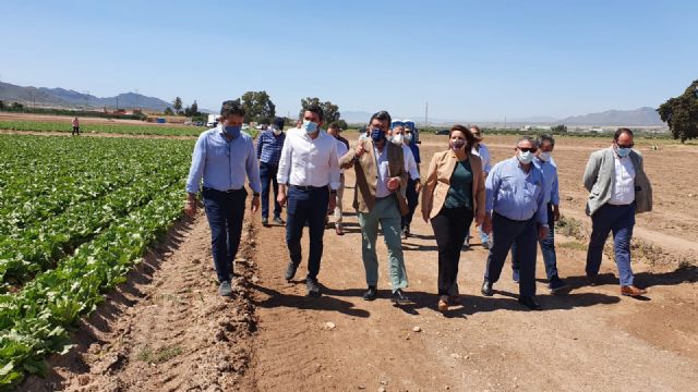 La Comunidad pone en valor los avances en investigación y desarrollo tecnológico en el sector agrario de la Región de Murcia - 1, Foto 1