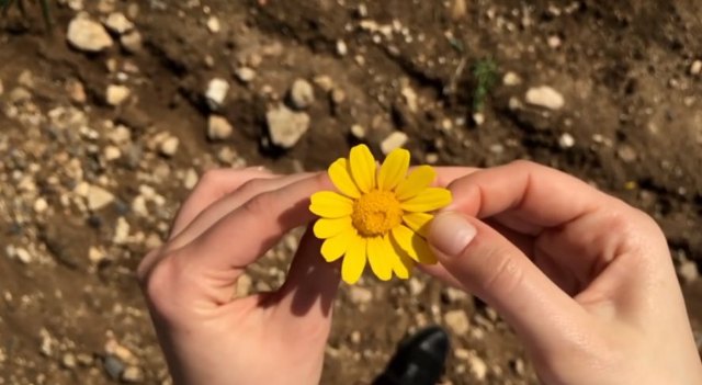 Hoy se celebra el día contra la Homofobia, la Transfobia y la Bifobia - 1, Foto 1