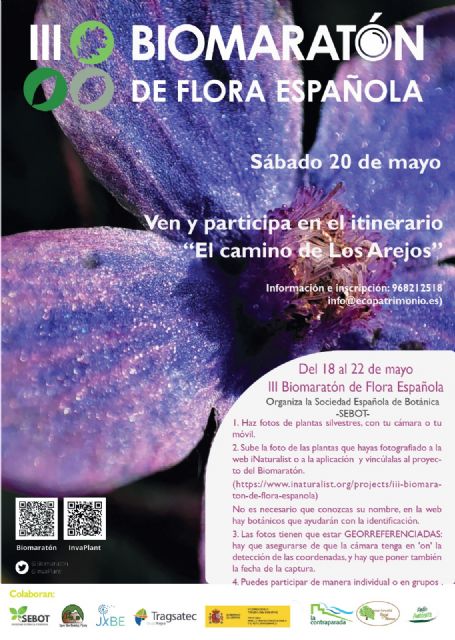 Murcia celebra del 18 al 22 de mayo el III Biomaratón de Flora Española - 1, Foto 1