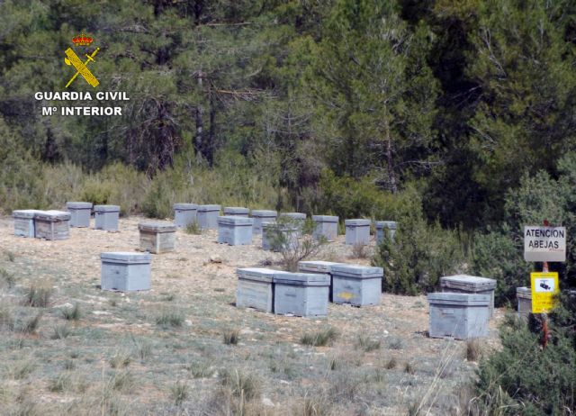 La Guardia Civil investiga a dos personas por el hurto de colmenas en tres explotaciones apícolas - 1, Foto 1