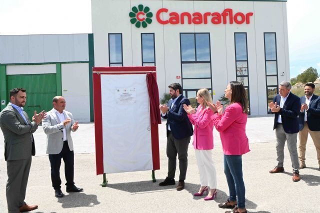 La Región de Murcia es la cuarta comunidad en exportación de flores y plantas y ya llega a 81 países - 3, Foto 3