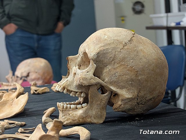 Dos enterramientos del siglo VI descubiertos en Las Cabezuelas reescriben la historia de Totana - 5, Foto 5