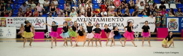 Las Escuelas Municipales de Gimnasia Rítmica despidieron el curso con una multitudinaria exhibición - 1, Foto 1