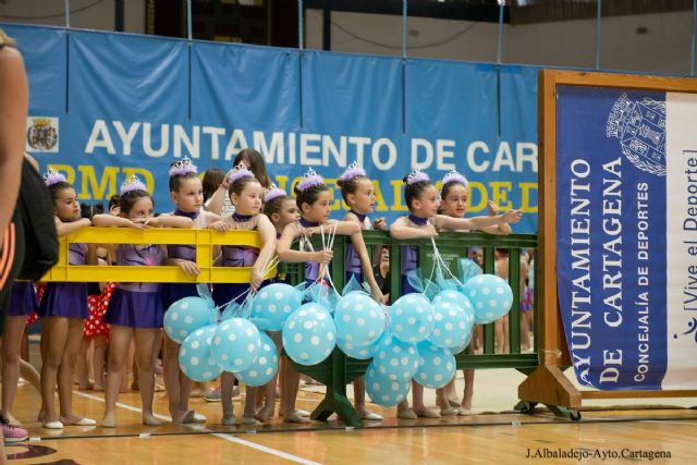 Las Escuelas Municipales de Gimnasia Rítmica despidieron el curso con una multitudinaria exhibición - 2, Foto 2