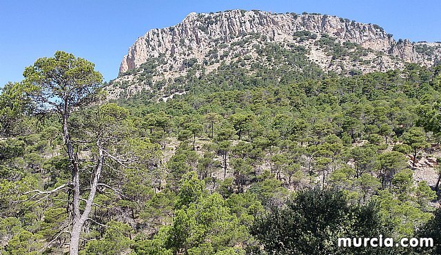 Entrevista a Chescos Romera El León de las Terreras en pleno corazón de Sierra Espuña - 4, Foto 4