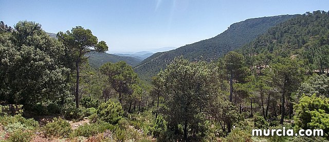 Entrevista a Chescos Romera El León de las Terreras en pleno corazón de Sierra Espuña - 5, Foto 5