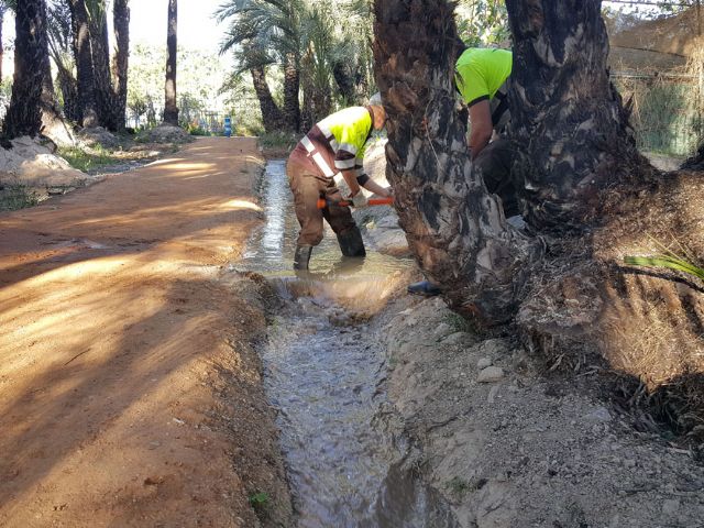 El agua vuelve a llenar las acequias del Palmeral de Santiago y Zaraiche. - 1, Foto 1