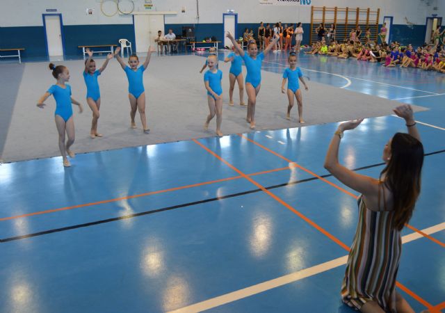 Gran exhibición de gimnasia rítmica de final de curso en Las Torres de Cotillas - 5, Foto 5
