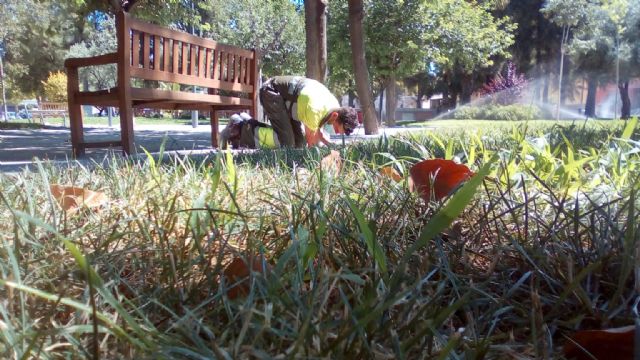 El Ayuntamiento revisa los más de 60.000 goteros y sistemas de riego eficientes del municipio para garantizar un mayor aprovechamiento del agua - 1, Foto 1