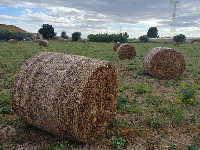 Proexport se implica en la campaña #DemosVozalAgricultor - 1, Foto 1