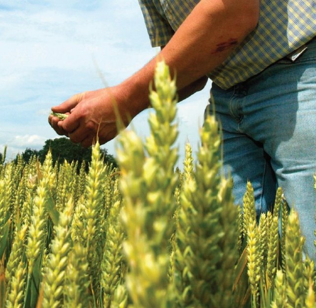 Fundación Ingenio preside el encuentro virtual ´La Agricultura del Futuro: producir más con menos´ - 1, Foto 1