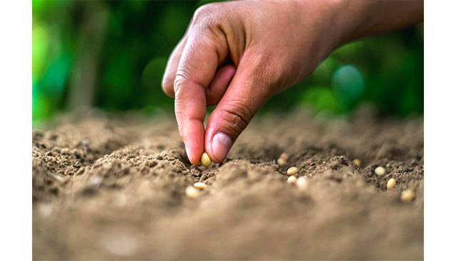 UPA: La erosión del suelo es el principal de problema de la mayoría de los agricultores en España - 1, Foto 1