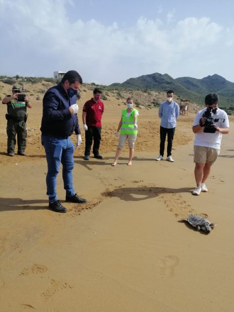 Liberación de una tortuga en Calblanque tras ser tratada en el centro de recuperación - 1, Foto 1
