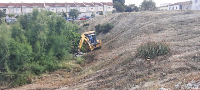 El Ayuntamiento de Molina de Segura inicia un plan de limpieza de solares municipales para evitar problemas de seguridad y salubridad - 1, Foto 1