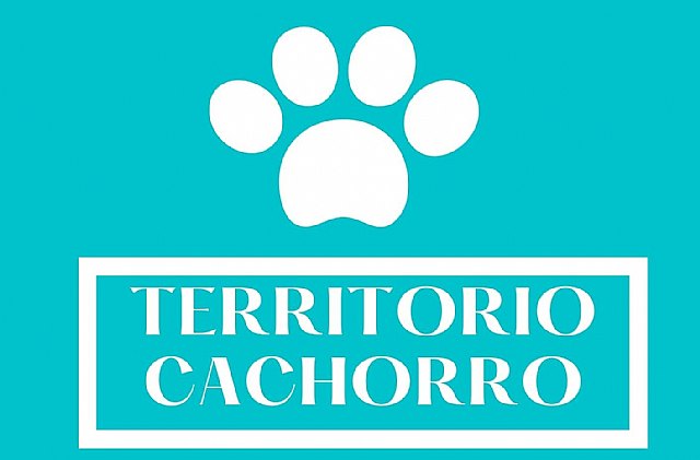 Nacho Vilar Producciones abre la convocatoria de TERRITORIO CACHORRO - 1, Foto 1