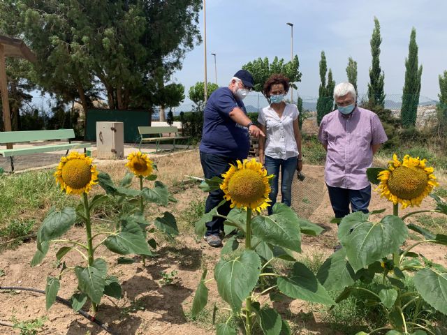 El IES Alfonso Escámez recibe su Manzano de la Cuesta de Gos - 1, Foto 1