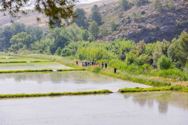 Martín Sandoval guía un recorrido botánico por el coto arrocero de Calasparra - 1, Foto 1