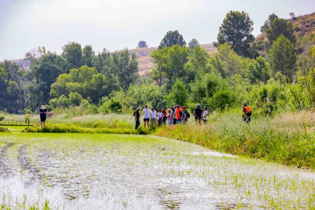 Martín Sandoval guía un recorrido botánico por el coto arrocero de Calasparra - 3, Foto 3