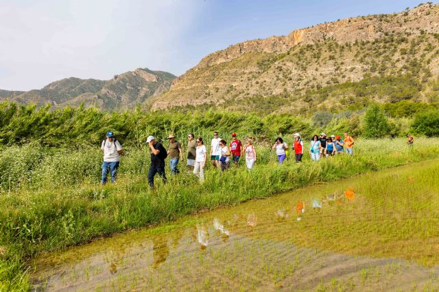 Martín Sandoval guía un recorrido botánico por el coto arrocero de Calasparra - 5, Foto 5
