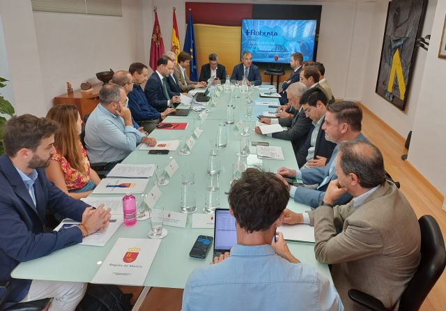 La Región se posiciona en cabeza para atraer inversiones en redes eléctricas con las medidas contenidas en la nueva Ley de Simplificación - 2, Foto 2