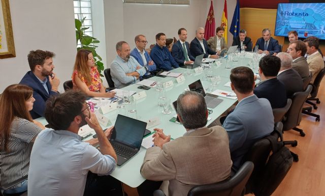 La Región se posiciona en cabeza para atraer inversiones en redes eléctricas con las medidas contenidas en la nueva Ley de Simplificación - 3, Foto 3