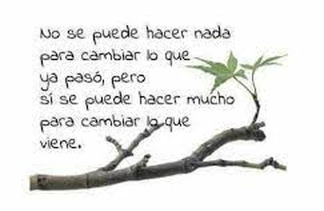 No podemos cambiar lo que está hecho, pero podemos caminar hacia adelante con dignidad - 1, Foto 1