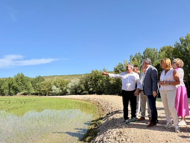 El Gobierno regional reivindica el cultivo de la DOP Arroz de Calasparra, que esta campaña prevé alcanzar los tres millones de kilos - 2, Foto 2