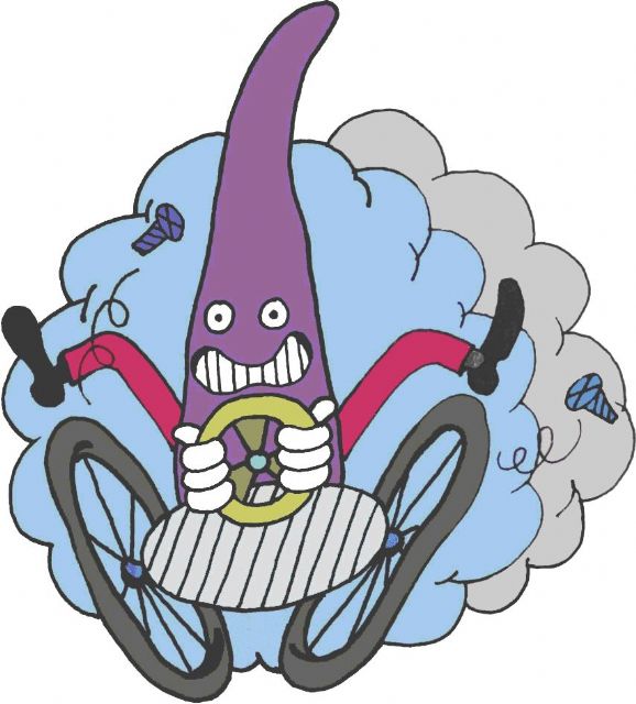 XIV Carrera de Autos Locos - 1, Foto 1