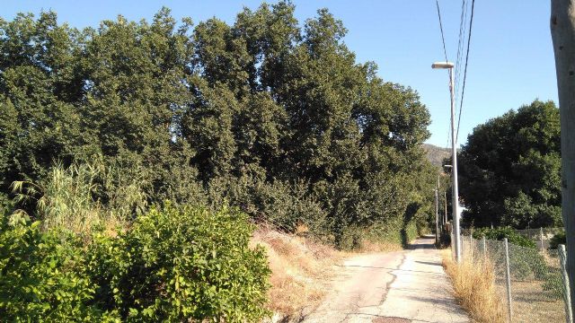 Huermur denuncia que el Ayuntamiento pretende entubar un tramo del Azarbe de Tierra Roya - 1, Foto 1