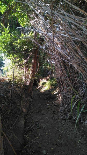 Huermur denuncia que el Ayuntamiento pretende entubar un tramo del Azarbe de Tierra Roya - 2, Foto 2