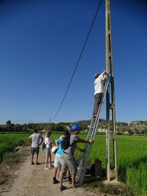 Un 65 % de los refugios artificiales instalados por voluntarios son ocupadas por los murciélagos - 2, Foto 2