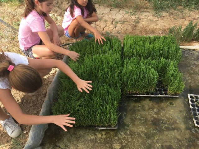 Un nuevo árbol por cada nacimiento en España - 1, Foto 1