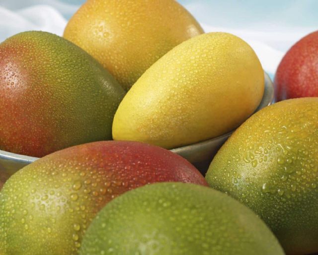 Málaga se convertirá el próximo septiembre en la capital mundial del mango - 1, Foto 1